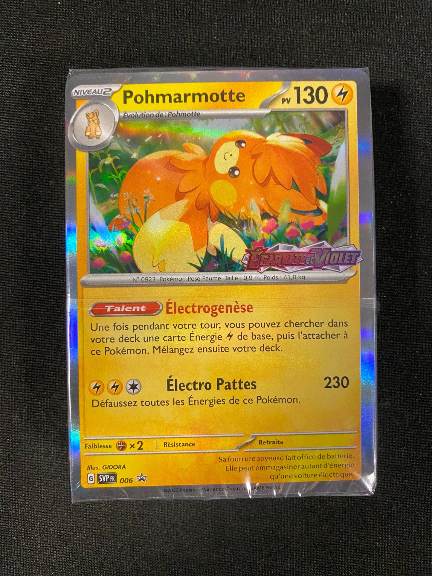 Deck prêt à jouer de 40 cartes - Pohmarmotte Stamp SVP006