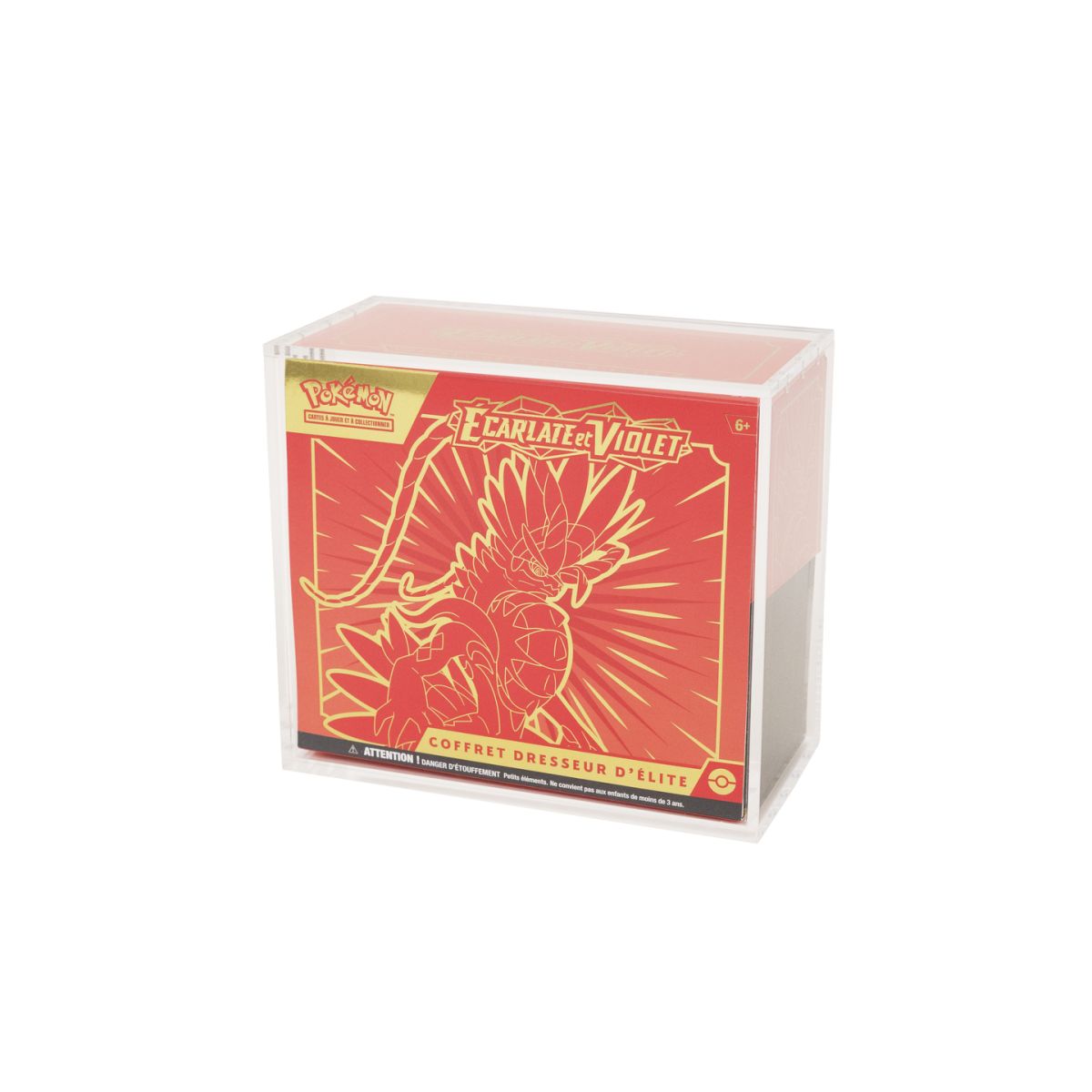 Protection Acrylique - ETB - Pokémon - Treasurewise