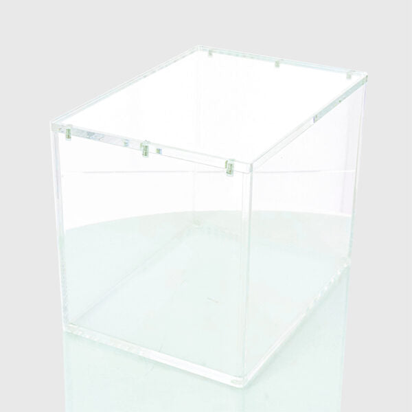 Protection Acrylique - Mini tin display 8 - Phoenix shield