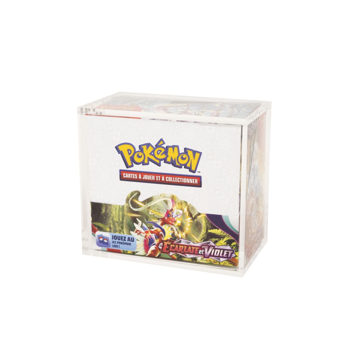 Protection Acrylique - Display - Pokémon - Treasurewise