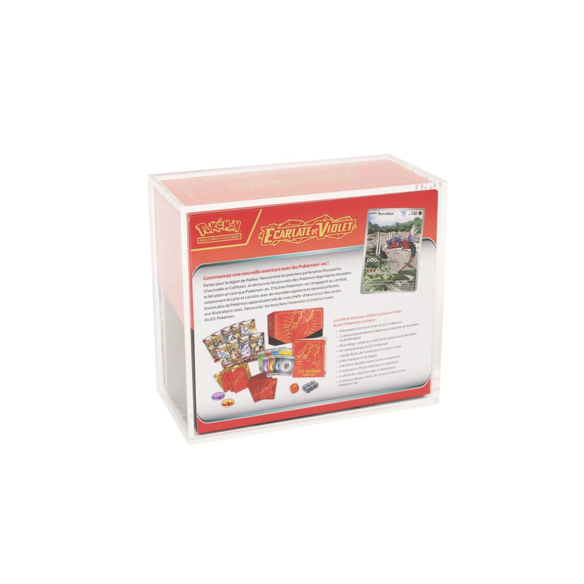 Protection Acrylique - ETB - Pokémon - Treasurewise