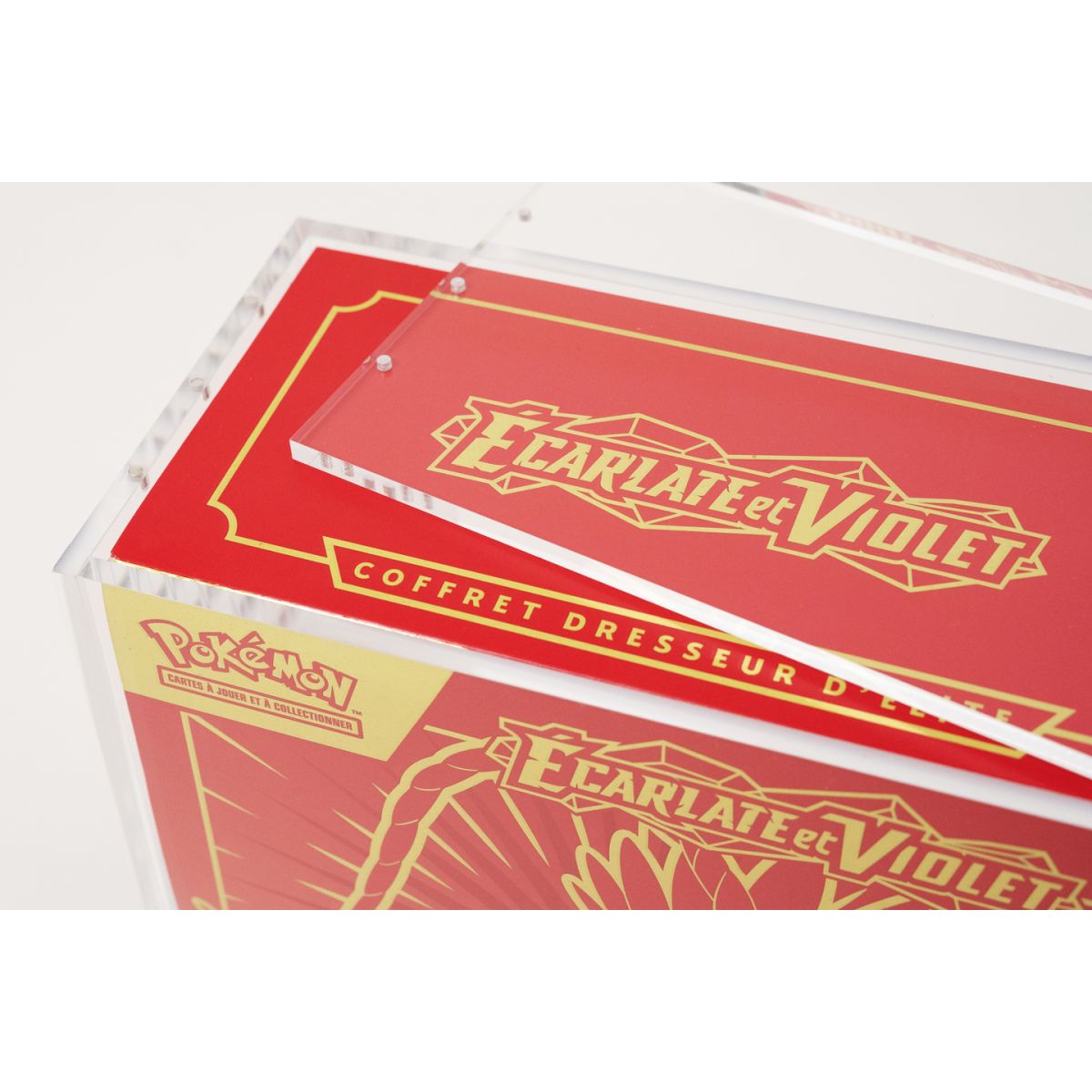 Protection Acrylique - ETB - Pokémon - Treasurewise