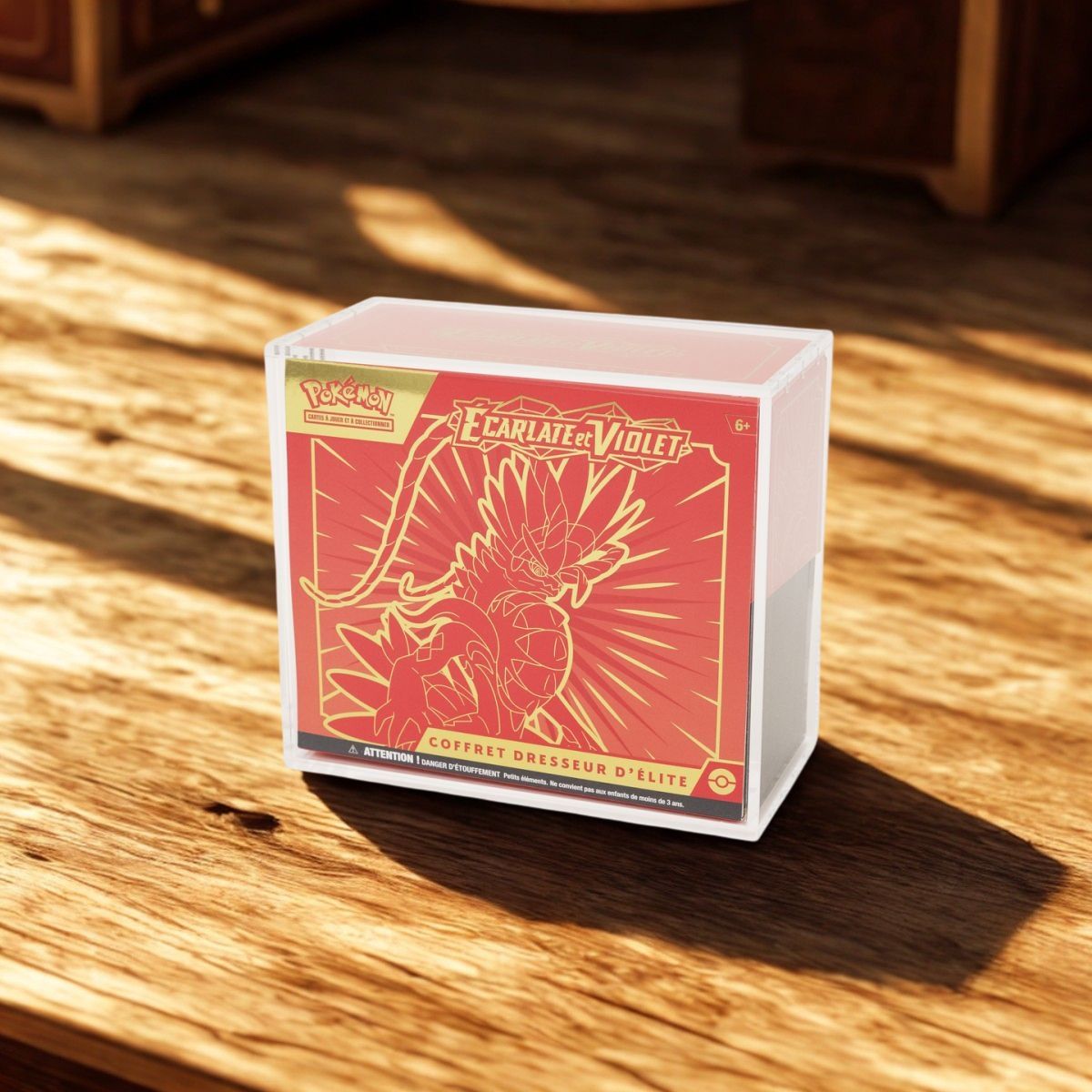 Protection Acrylique - ETB - Pokémon - Treasurewise